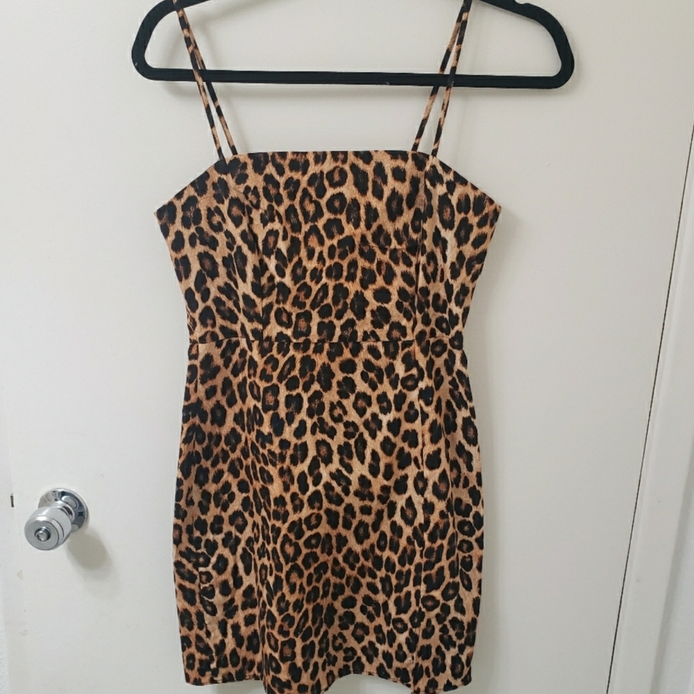 Zara Leopard Print Mini Dress